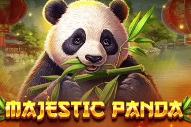 Dịch vụ hỗ trợ khách hàng pg999 – giải đáp tiếng Việt cho người dùng Việt Nam